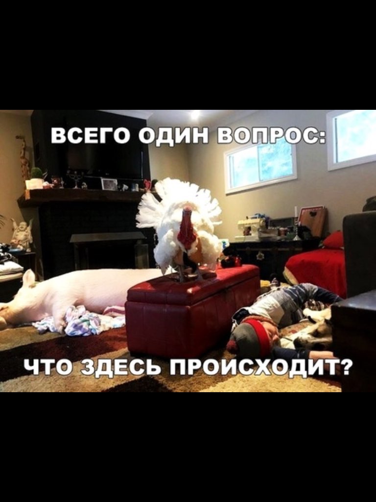 чта з Есь прои Й гигЫ 9