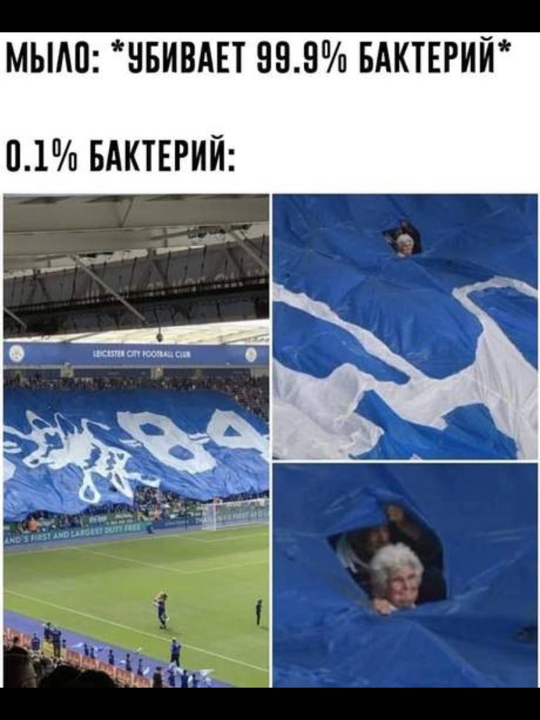 МЫАП НБИВАЕТ 993 БАКТЕРИЙ 01 БАКТЕРИЙ