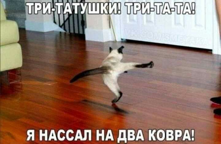 _ ч4 _щ я НАССАЛ НА7дВА ковш __