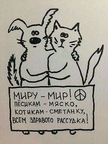 миру _ мир песцкди мяско кот ЦКАМ СМЕТАН КУ ВСЕМ ШРЪБОТО РАССУАКА