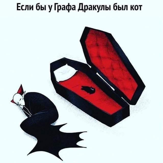 Если бы у Графа Дракулы был кот