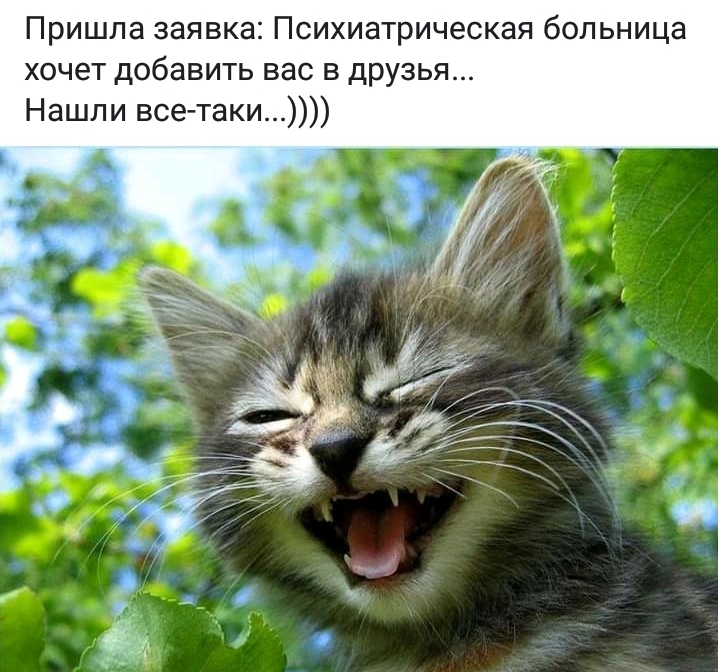 Пришла заявка Психиатрическая больница хочет добавить вас в друзья Нашли всетаки