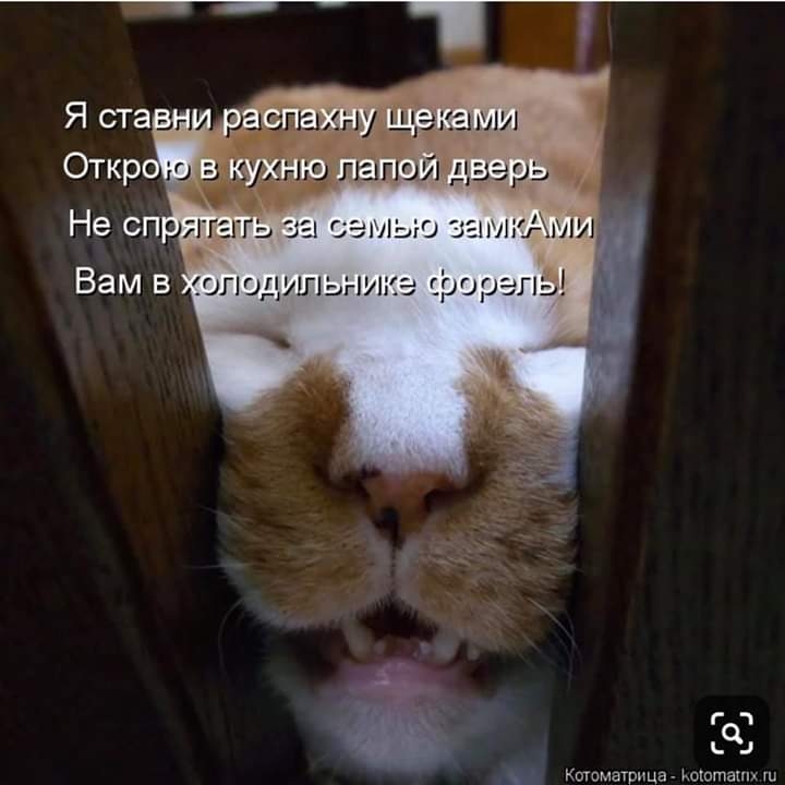 Я стаь ра спзь ну щвчами Анни МИ гч ь Котоматрпца ююташх