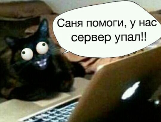 Саня помоги у нас сервер упал