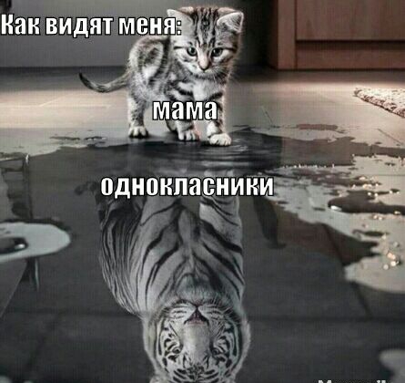 однцкйаёъішёи