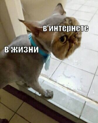 винтепнш В ЖИЗНИ