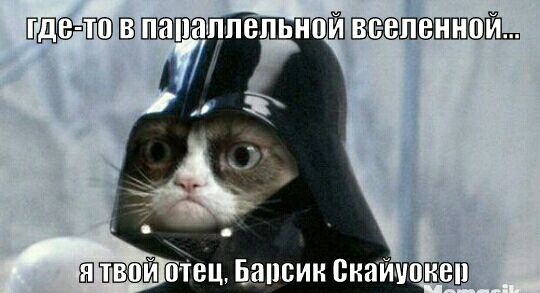 Ед тю папацпе ьной винить БЁтец Бапсии сиайишп
