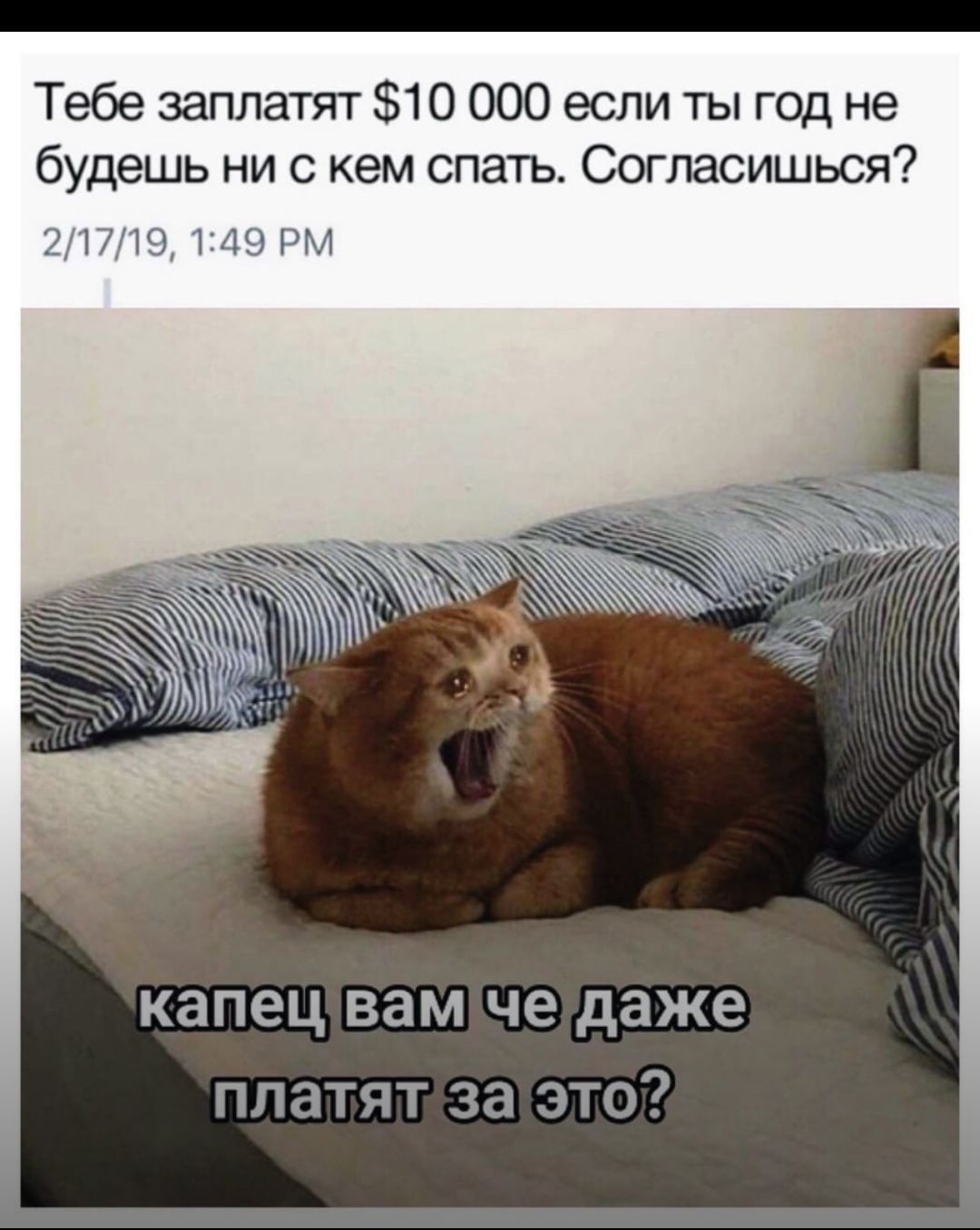 Тебе заплатят 10 000 если ты год не будешь ни с кем спать Согласишься 21719 1349 РМ капец вам че даже платят за ею