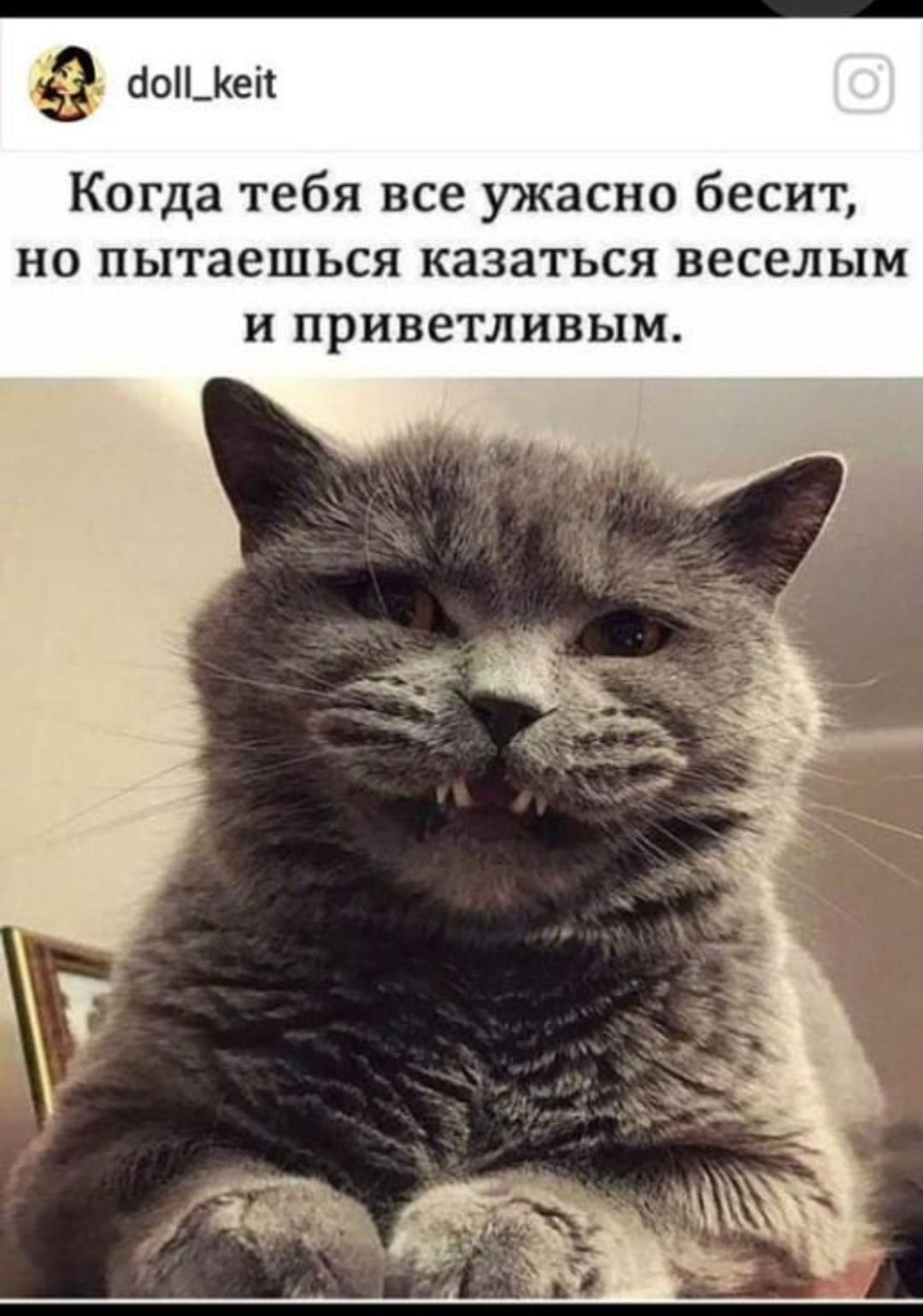 аон_еп Когда тебя все ужасно бесит но пытаешься казаться веселым и приветливым