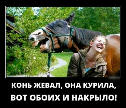 КОНЪ ЖЕВАЛ ОНА КУРИЛА ВОТ ОБОИХ И НАКРЫЛО