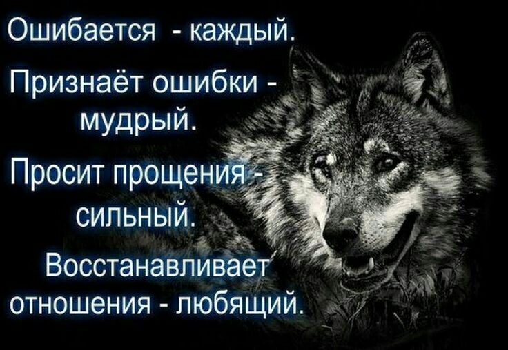 Ошибается каждый мудрый Просит прощен сильным Воестанавпивёеа отношения любящий