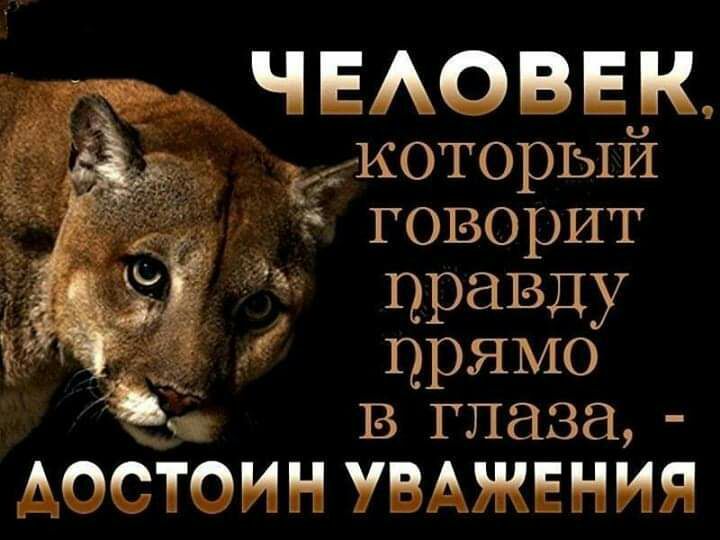 ЧЕАОВЕК кукоторый говорит _ правду прямо в глаза Аесюин уВАжвния