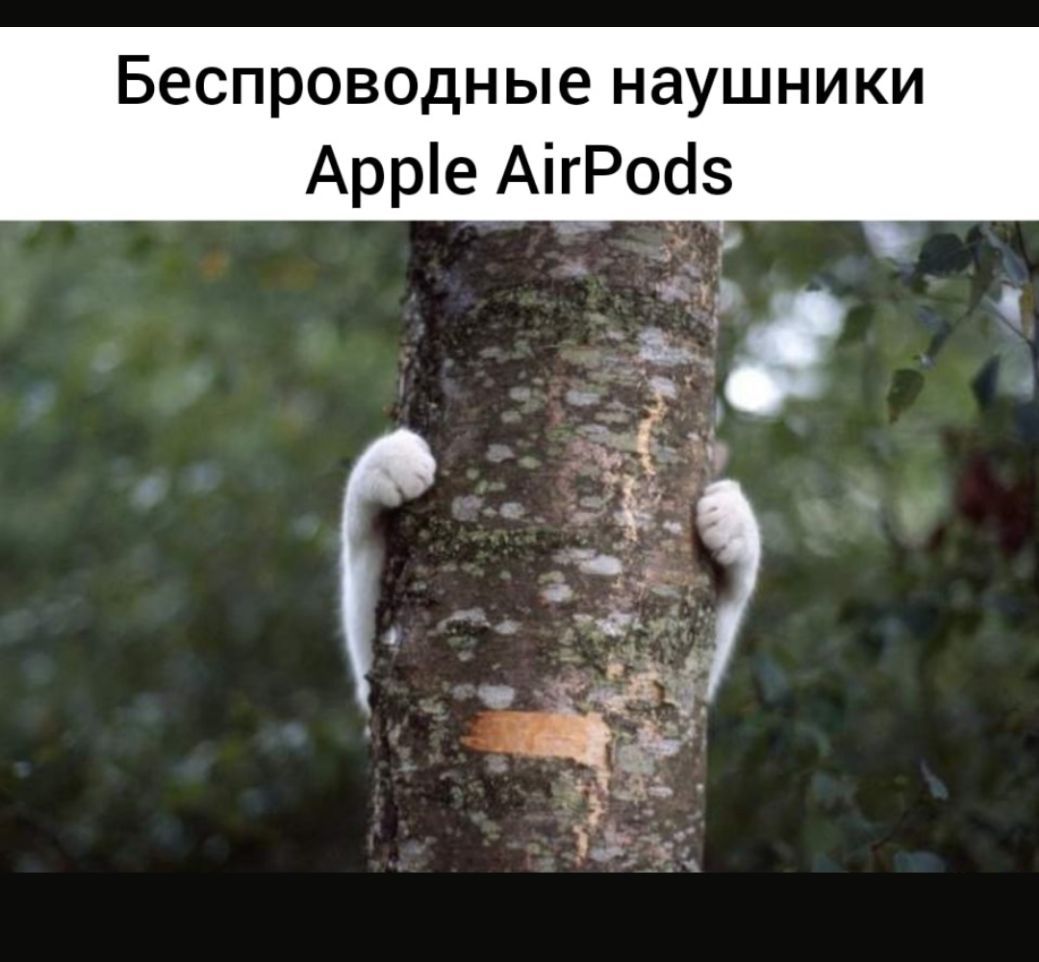 Беспроводные наушники Арре АігРосіз