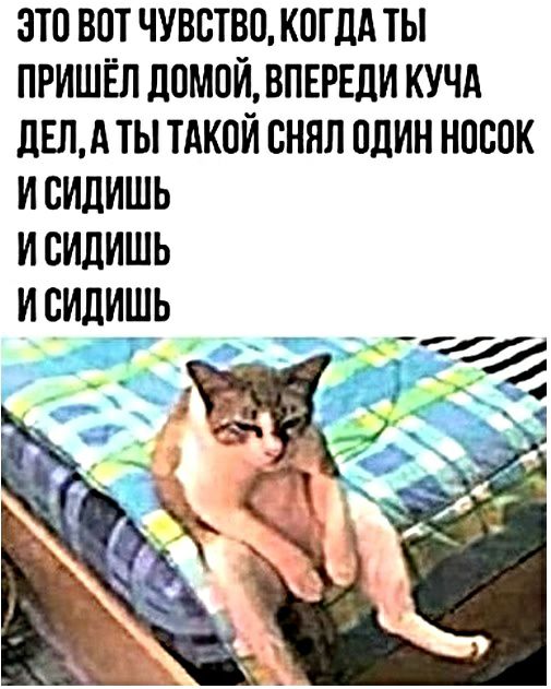 ЭТО ВПТ ЧУВСТВО КОГДА ТЫ ПРИШЁЛ ЛОМОИ ВПЕРЕЦИ КУЧА дЕЛА ТЫ ТАКОЙ СНИП ПЛИН НПБПК И СИДИШЬ И СИдИШЬ И СИДИШЬ