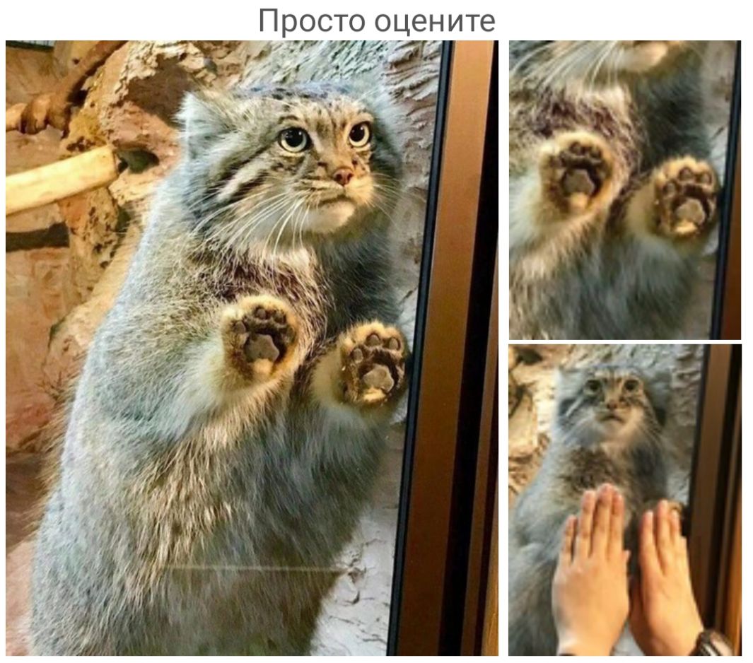 8 Т И Н е Ц О О Т С О 0 П