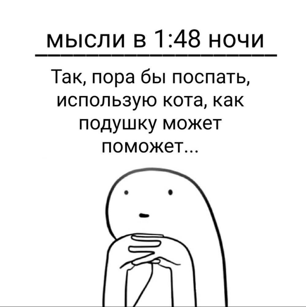 мысли в 148 ночи Так пора бы поспать использую кота как подушку может поможет