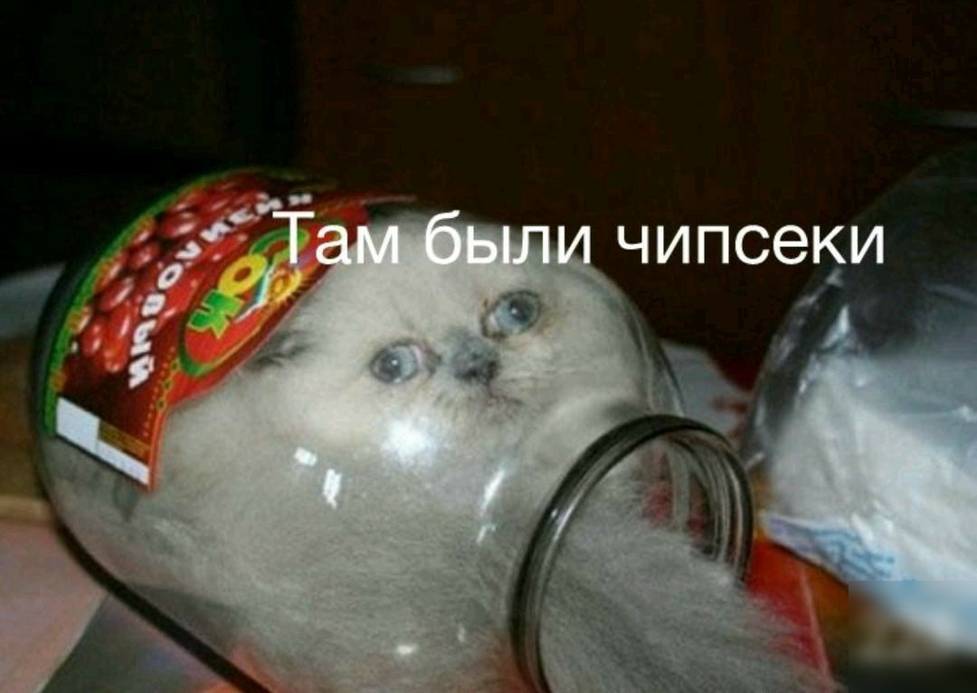 чипсеки