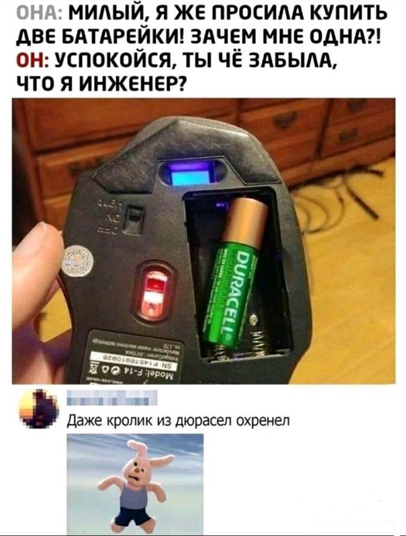 НА МИАЫЙ Я ЖЕ ПРОСИАА КУПИТЬ АВЕ БАТАРЕЙКИ ЗАЧЕМ МНЕ ОДНА ОН УСПОКОЙСЯ ТЫ ЧЁ ЗАБЫАА ЧТО Я ИНЖЕНЕР Даже кролик из дюрасел охренел