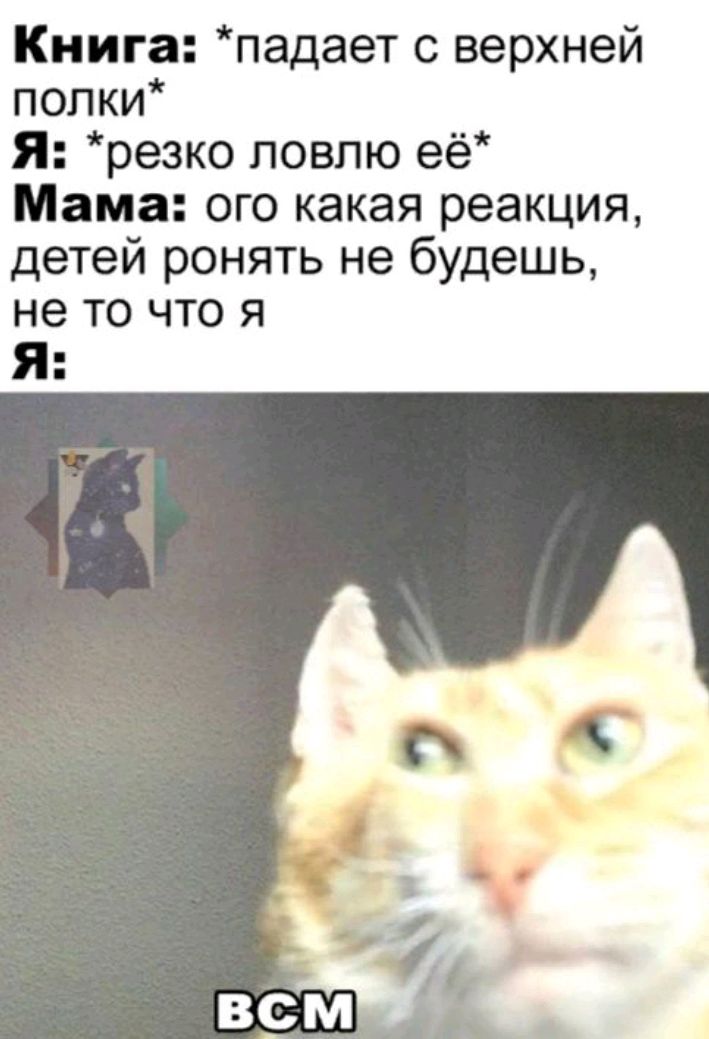 Книга падает с верхней полки Я резко ловлю её Мама ого какая реакция детей ронять не будешь не то что я Я