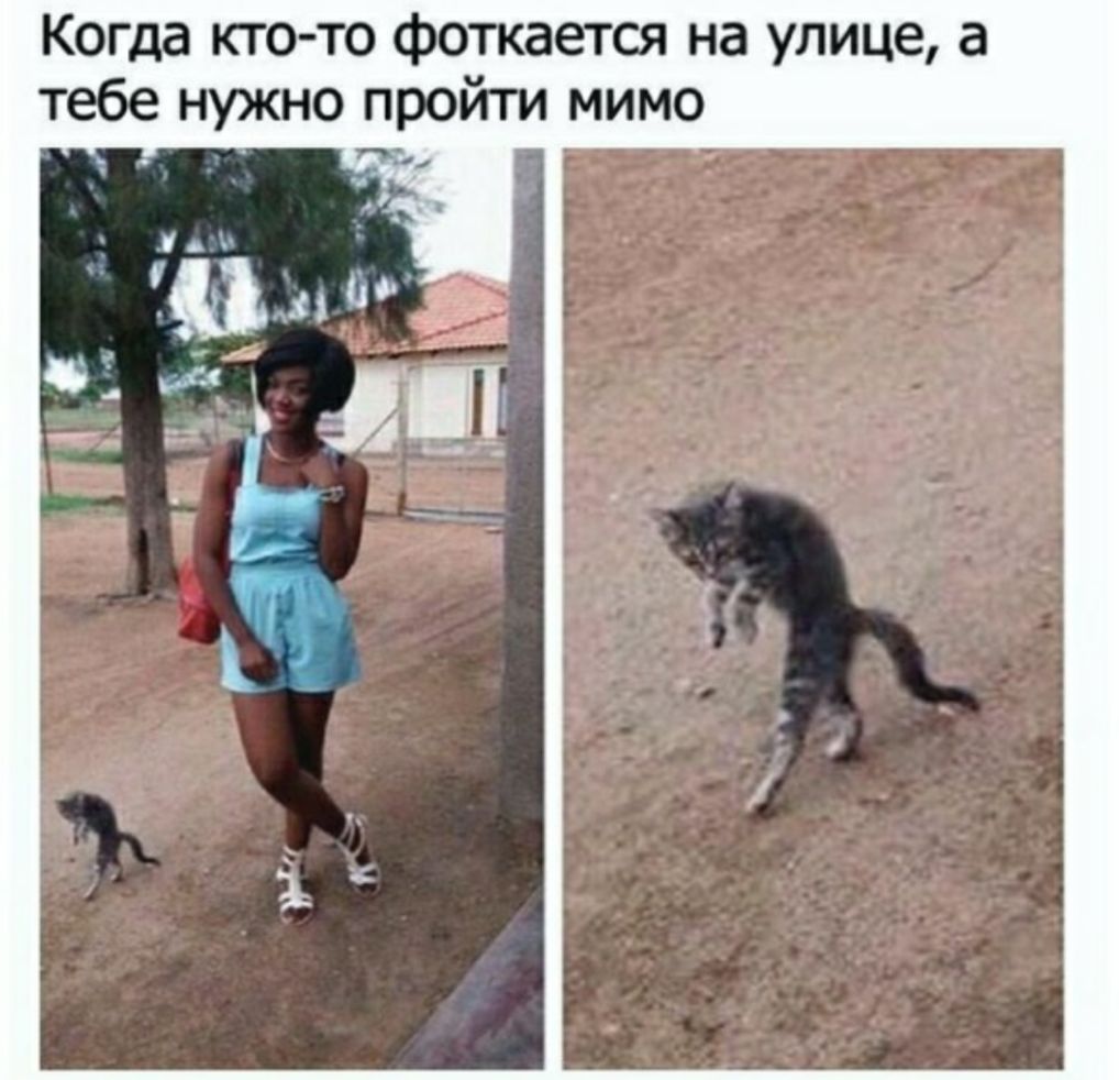 Когда кто то фоткается на улице а тебе нужно пройти мимо