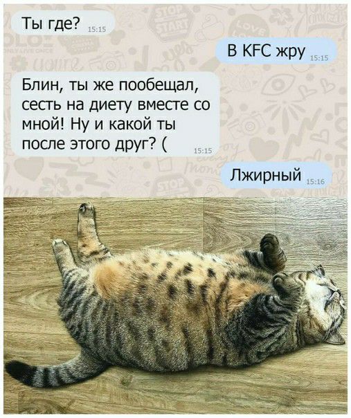 Ты где В КРС жру __ Блин ты же пообещал сесть на диету вмесге со мной Ну и какой ты после этого друг Пжирный