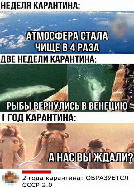 НЕДЕЛЯ КАРАНТИНА АТМОСФЕРА СТАЛА 3 4 4 дВЕ НЕДЕЛИ КАРАНТИНА _ 2 года карантина ОБРАЗУЕТСЯ СССР 2 О