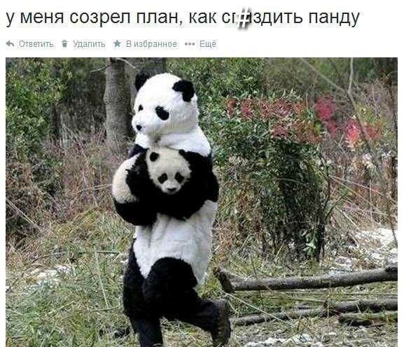 у МЕНЯ СОЗРЭП план как СЦЁЗДИТЬ панду