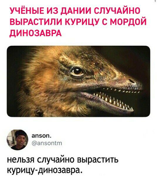 апзоп эпэотт нельзя случайно вырастить курицудинозавра
