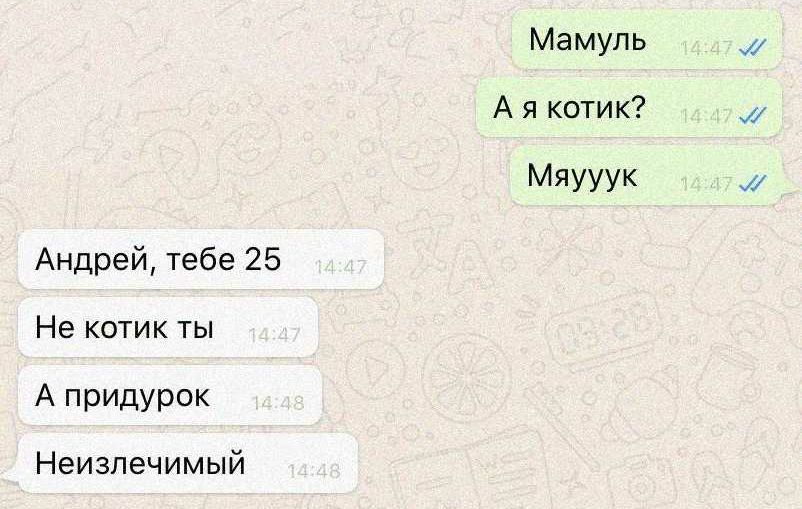 Мамуль А я котик Мяууук Андрей тебе 25 Не котик ты А придурок Неизлечимый