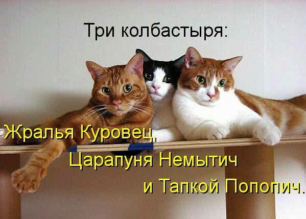 Три копбасты ря