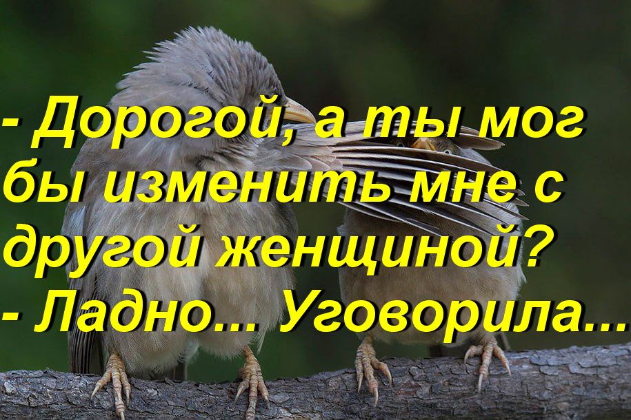енщ оіі Лад о Уговорііладг