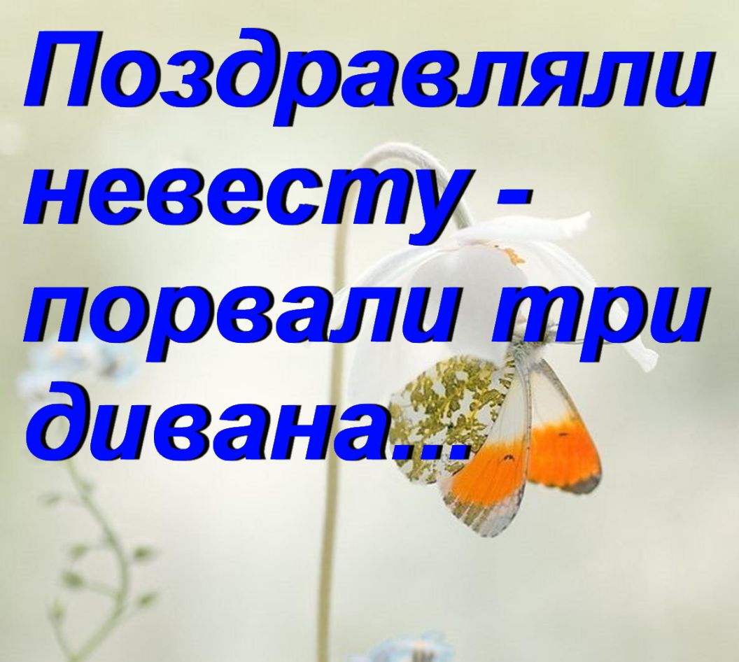 Поздравляли невесту порвали три