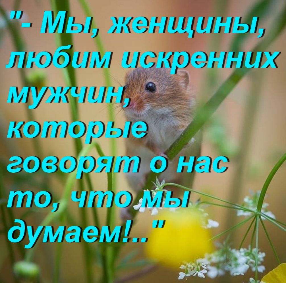Мы женщины любим искренних мужчин которые говорят о нас то чтомы думаем д ёСЭ