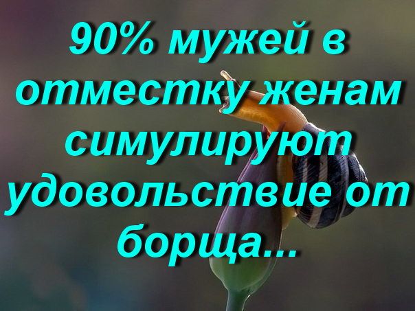 90 мужей в отместку нам симулирю удовольса вие от бор