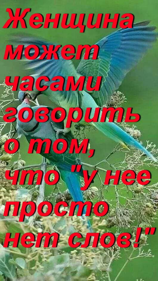 Женщина макет часами заварить
