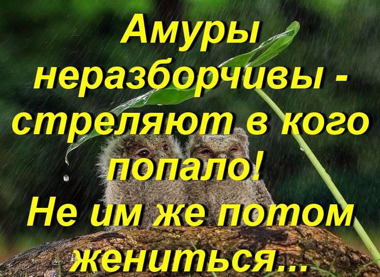 7 119 нараЁб _чівы ст99 в ого