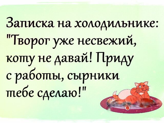 Записка на хокюдилънике Творог уже несвежий коту не давай Приду с работы сырники тебе сделаю
