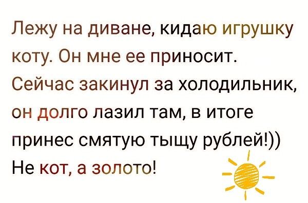 Лежу на диване кидаю игрушку коту Он мне ее приносит Сейчас закинул за холодильник он долго лазил там в итоге принес смятую тыщу рублей Не кот а золото
