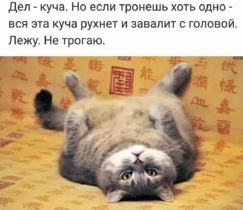 Деп куча Но если тронешь хоть одно вся эта куча рухнет и завапит головой Лежу Не трогащ