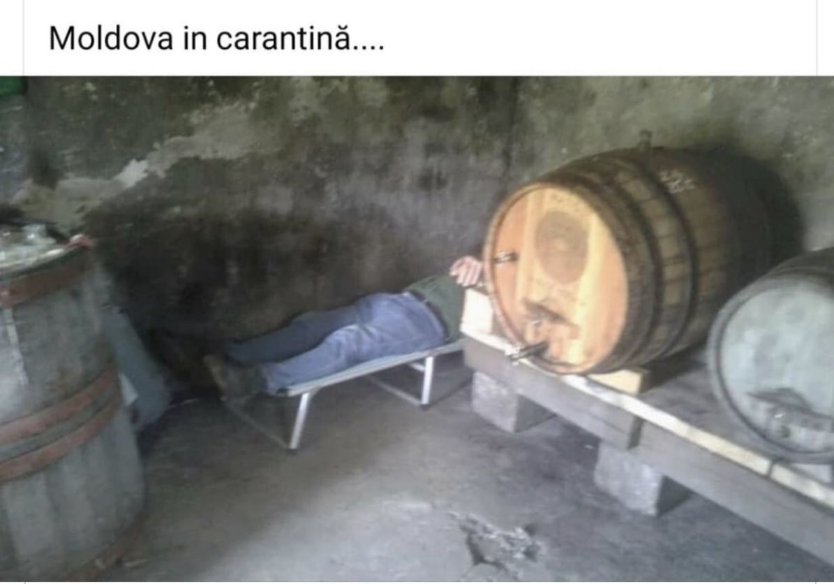 МоШоуа іп сагаптіпё