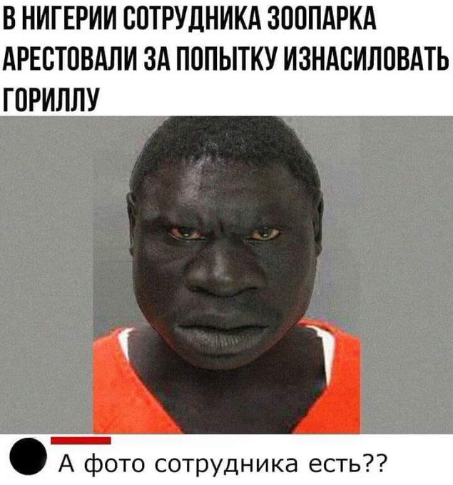 В НИГЕРИИ СПТРУЛНИКА ЗООПАРКА АРЕСТОВАЛИ ЗА ПППЫТКУ ИЗНАСИЛОВАТЬ ГПРИЛЛУ А фото сотрудника есть
