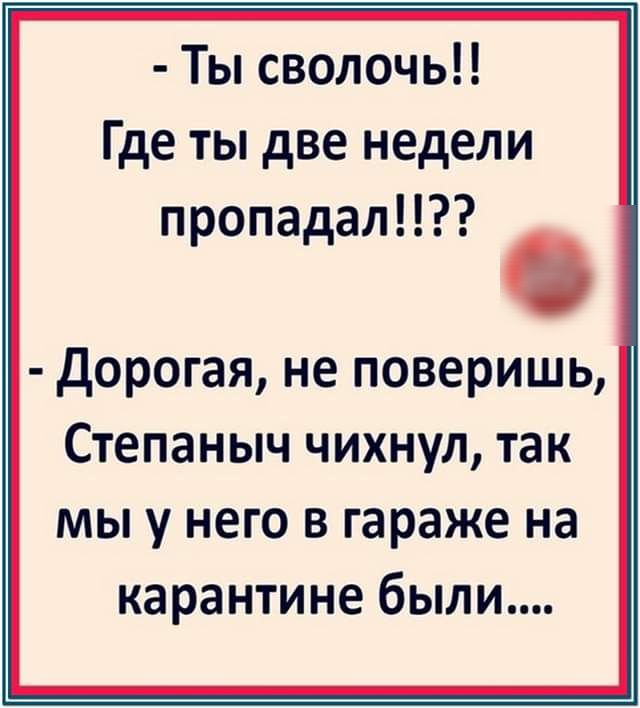 Ты сволочь Где ты две недели пропадалт дорогая не поверишь Степаныч чихнул так мы у него в гараже на карантине были
