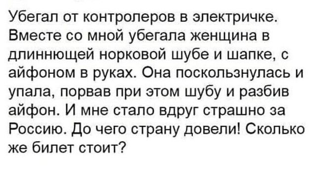 Убегап от контролеров в электричке Вместе со мной убегапа женщина в длиннющей норковой шубе и шапке с айфоном в руках Она поскользнупась и упала порвав при этом шубу и разбив айфон И мне стало вдруг страшно за Россию До чего страну довели Сколько же бипет стоит