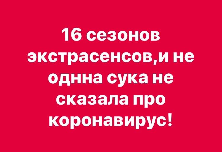 18 томов ше алина суп не сказала про корневище