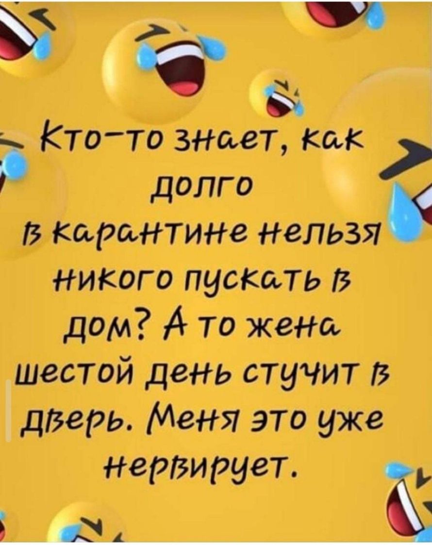 д Ктото знает как долго в Каран гине нельзя никого пускать дам 74 То жеа шестой день стучит В дзерь Меня это уже ерзирует