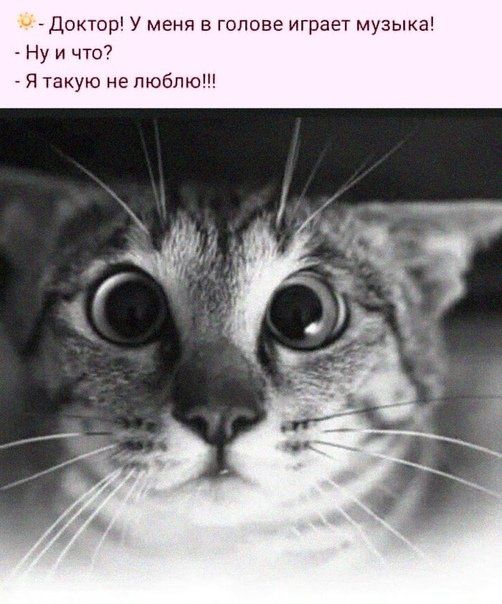 _ Доктор У меня в голове играет музыка Ну и что Я такую не люблю