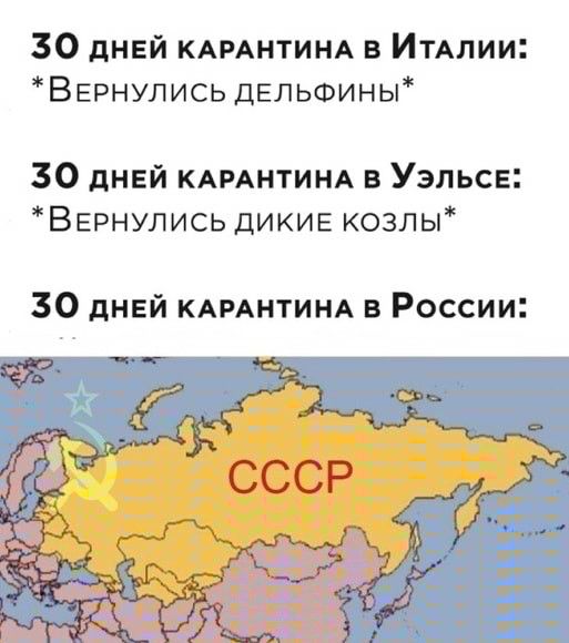 30 дней КАРАНТИНА в ИТАлии Вернулись дельфины 30 дней КАРАНТИНА в Уэльсе Вернулись дикие козлы 30 дней КАРАНТИНА в России