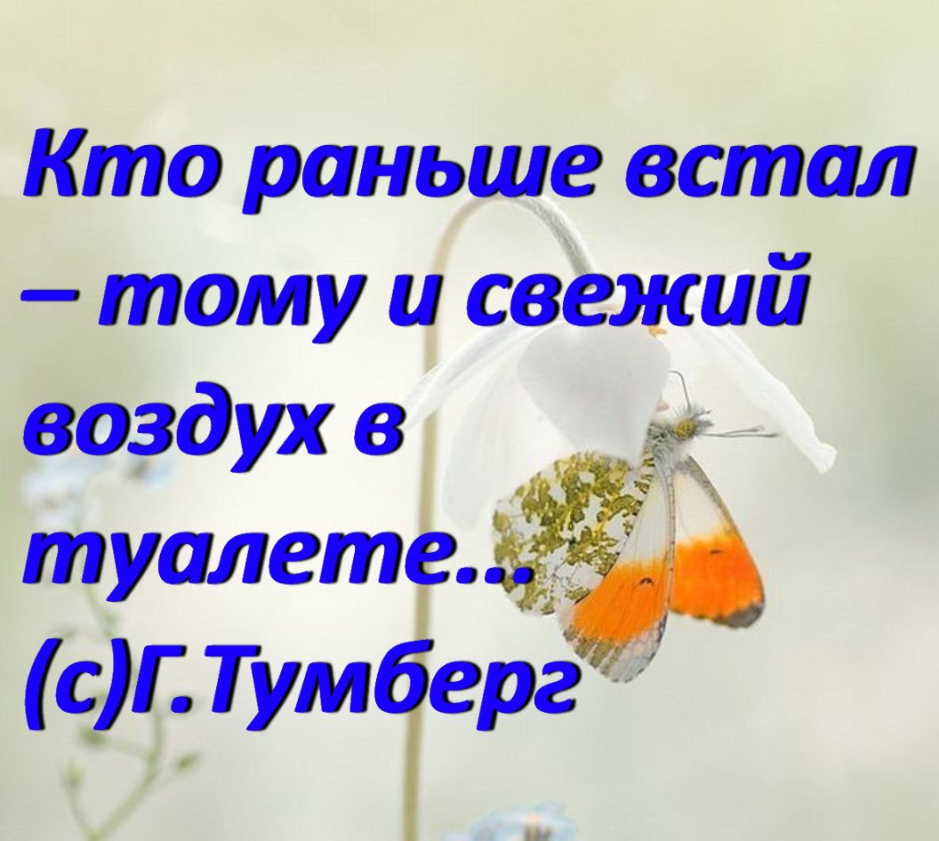 Кто раньше встал тому и свежий воздух в __ туалет