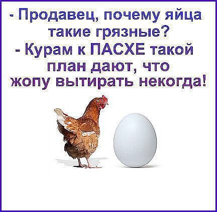 Продавец почему яйца такие грязные Курам к ПАСХЕ такой ППЗН ДЗЮТ ЧТО ЖОПУ вытирать некогда Ё