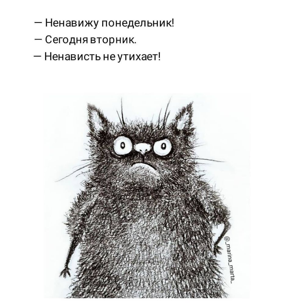 Ненавижу понедельник Сегодня вторник Ненависть не утихает